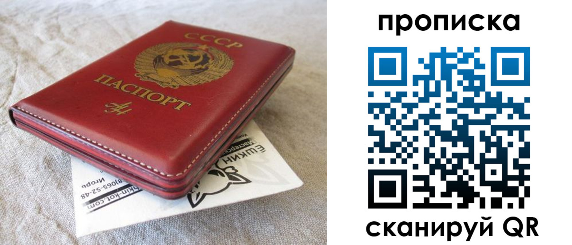 прописка для школы в Красном Куте